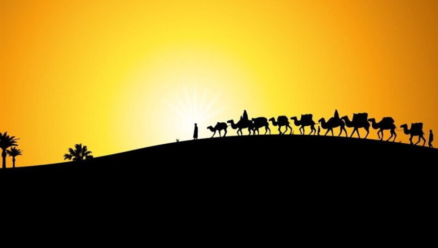 آیا کاروان اهل بیت امام حسین(ع) در اربعین حسینی به کربلا آمدند؟
