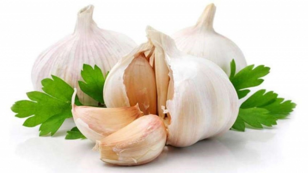 فواید شگفت انگیز خوردن سیر با معده خالی!