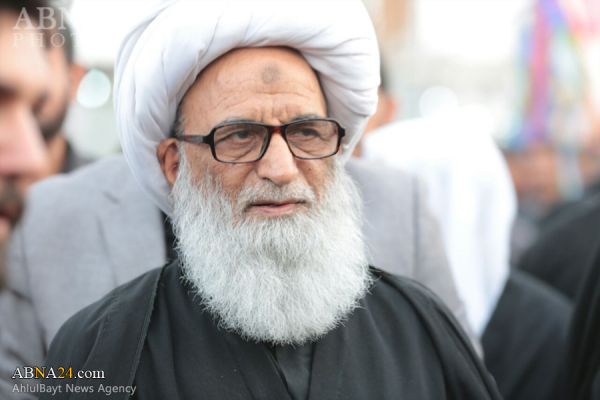 حضرت ایت الله العظمی شيخ بشير نجفي (دامت برکاته)
