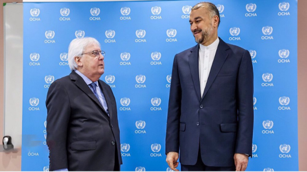 Israël n’a aucune chance de gagner la guerre à Gaza (Amir-Abdollahian)