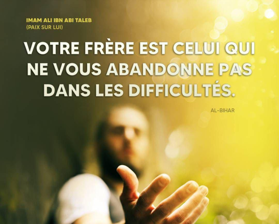 « La consultation est une source de guidance » : 9 citations instructives de l’Imam Ali