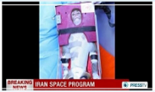 L&#039;Iran a envoyé un deuxième singe dans l&#039;espace