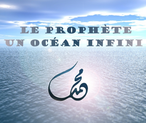 Infaillibilité(2),Trois théories sur la vérité de l’infaillibilité