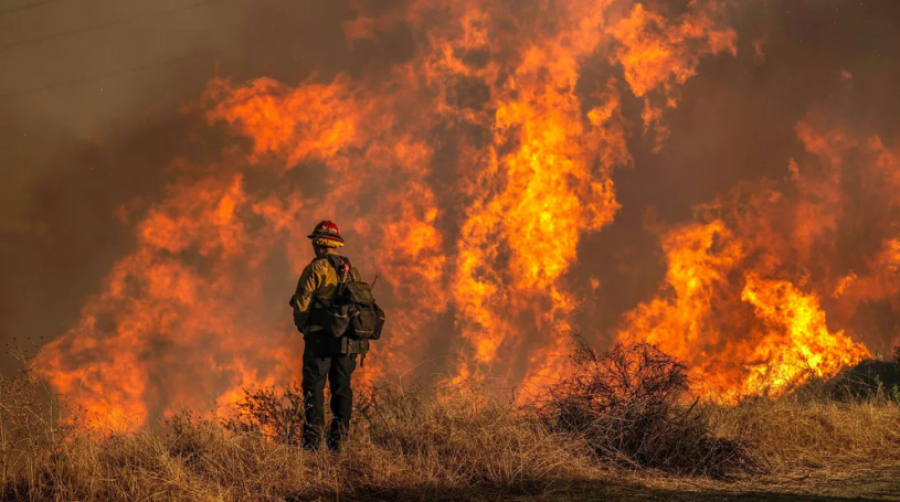 Le bilan des incendies à Los Angeles s&#039;élève à 24 morts alors que les pompiers luttent contre les vents qui s&#039;intensifient