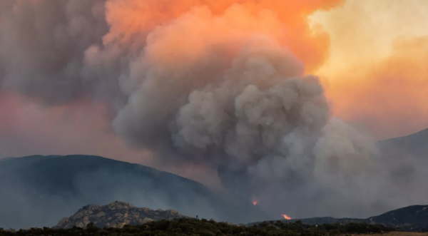 La France : plus de 42 000 hectares de surfaces brûlées depuis le début de 2026