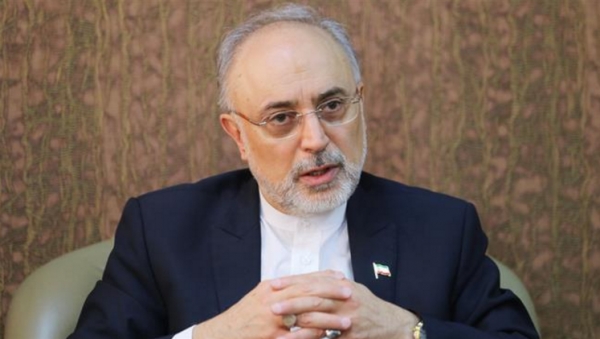 L&#039;Iran va construire deux centrales nucléaires (Salehi)