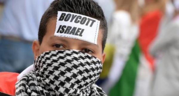 Manifestants dans le calme à Paris et à Lyon contre l&#039;offensive israélienne