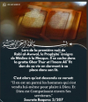 Hadith du jour