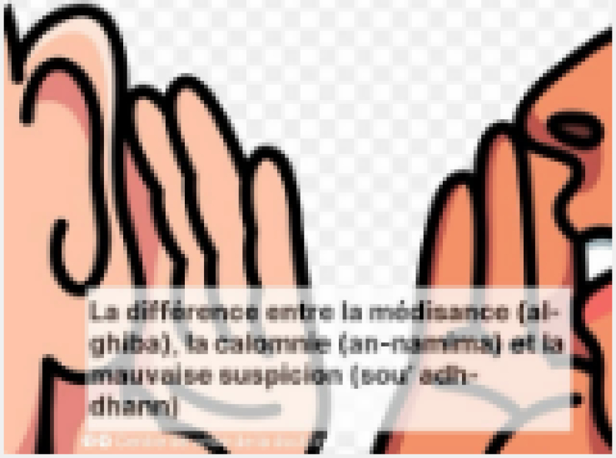 La différence entre la médisance (al-ghiba), la calomnie (an-namima) et la mauvaise suspicion (sou’ adh-dhann)*