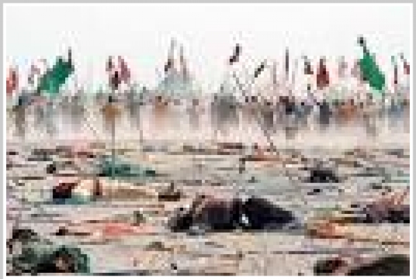 Le Martyre de Karbala