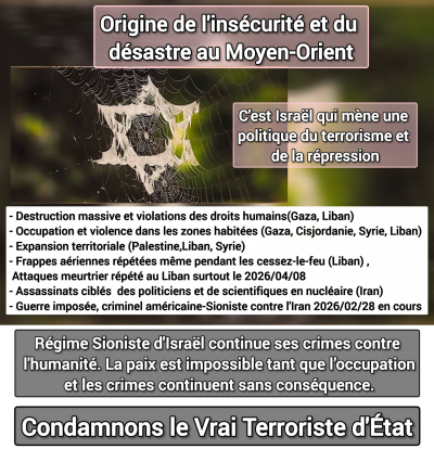 La stratégie d'Israël est-elle vraiment efficace ?