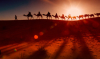 Arrivée de l’Imam Hussein (as) à Karbala*, le 2 Muharam