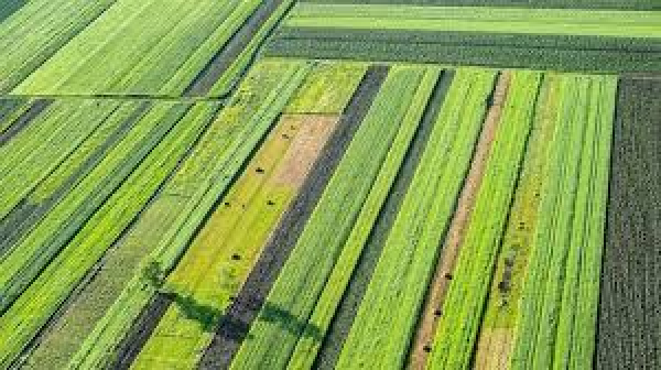 InternasionalTeknologi Nuklir Iran Perkuat Ketahanan Pangan dan Ekonomi Pedesaan