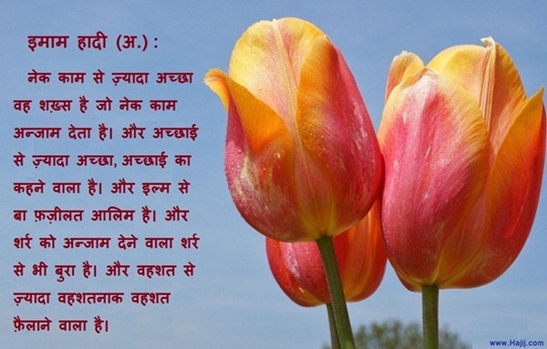 हर चीज़ के रीशे(ज) तक पहुँचना चाहिए