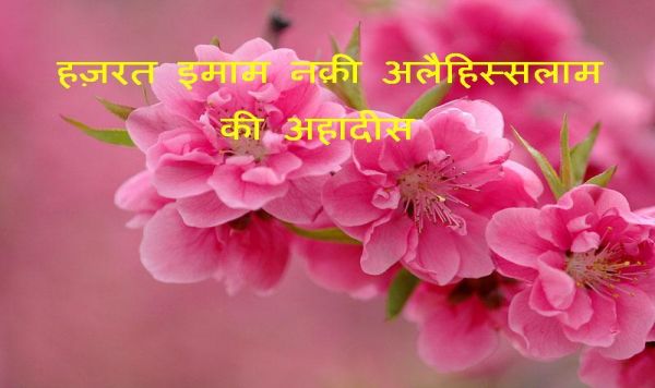 हज़रत इमाम नक़ी अलैहिस्सलाम की अहादीस (प्रवचन)