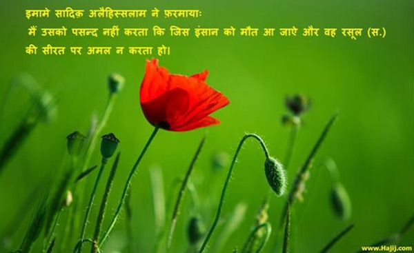 नसीहतें