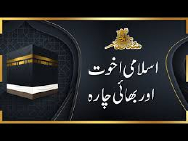 इस्लामी भाईचारा