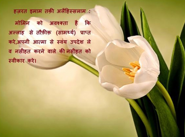 हुस्ने अख़लाक़