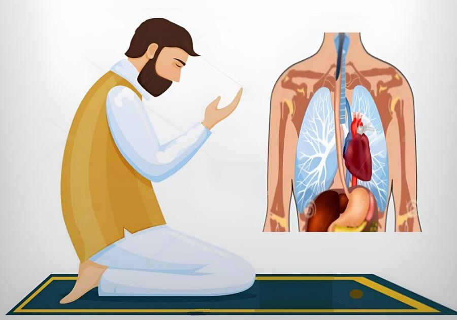 रोज़े के चिकित्सीय और रूहानी फ़ायदे