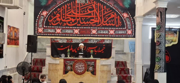 इमाम अस्र (अज्ज़) की ज़ियारत की चाहत, कमाले इंसानीयत का प्रतीक है