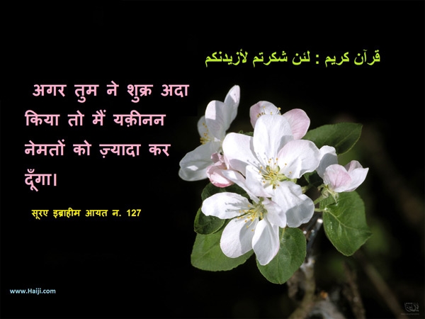 शुक्रिये व क़द्रदानी का जज़्बा