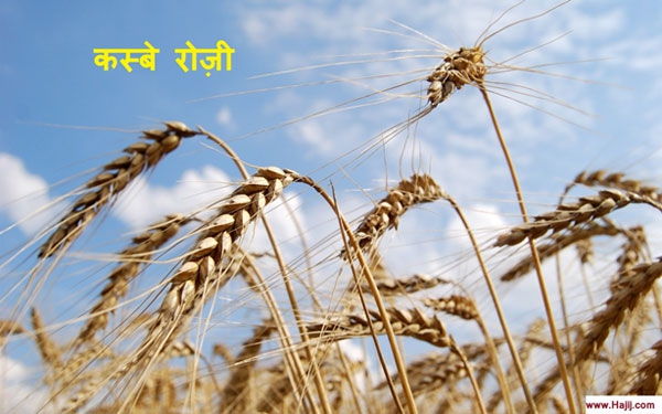 कस्बे रोज़ी