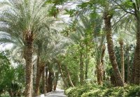 फ़दक; हज़रत फ़ातेमा ज़हरा (स) की जागीर