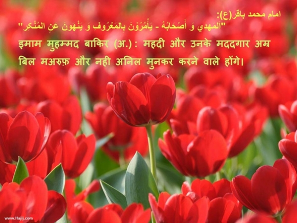 अम्र बिल मारुफ़ और नही अनिल मुनकर