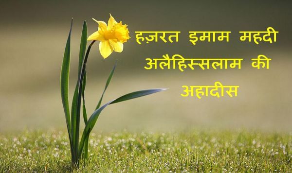 हज़रत इमाम महदी अलैहिस्सलाम की अहादीस (प्रवचन)