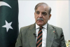 شہباز شریف: امن کا مفاہمت نامہ منظور، لبنان سمیت تمام محاذوں پر فوجی کارروائی فوری اور مستقل طور پر ختم کرنے پر اتفاق