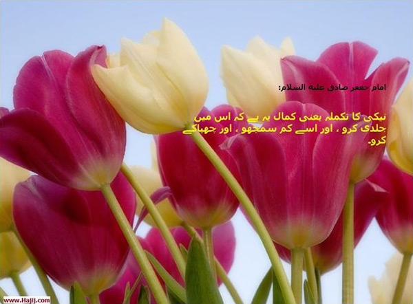 نيکيوں سے مزين هونا اور برائيوں سے پرهيز کرنا