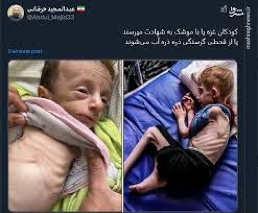 غزہ میں قحط، مغربی تہذیب کی سفاکیت