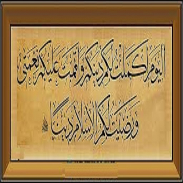 حضرت امیر المومنین علیہ السلام کے خلیفہ بلا فصل ہونے اور آپ کی امامت کے دلائل کا خلاصہ ۔