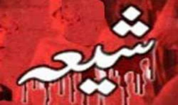 شیعہ نسل کشی میں امریکہ ملوث