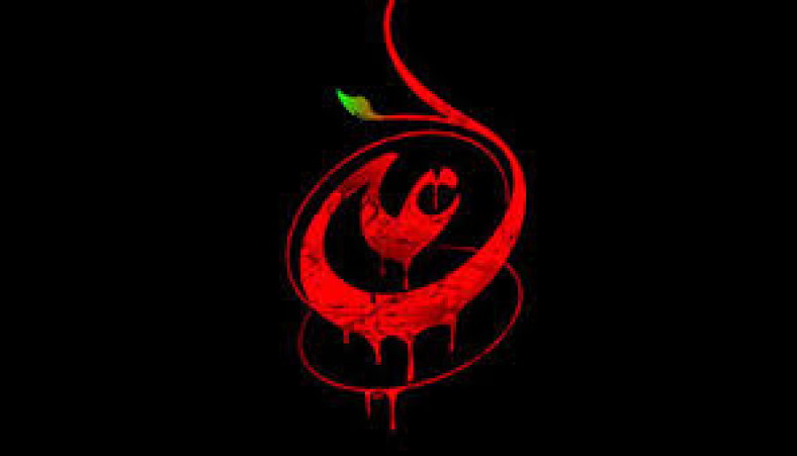 امام علی علیہ السلام جیسی شخصیت تلاش کرنا نا ممکن ہے:امام خمینی(رح)