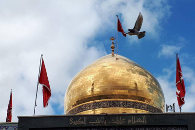 حضرت زینبؑ کی استقامت اور بصیرت نے عاشورا کے پیغام کو تاریخ میں ہمیشہ کے لیے زندہ کردیا