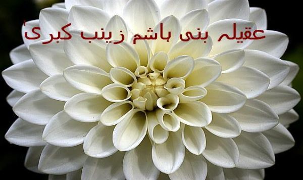 کردار زینب علیہا السلام