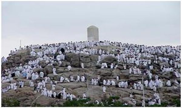 عرفات ميں وقوف كرنا