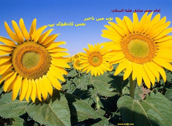 توبه کرنے والوں کے واقعات